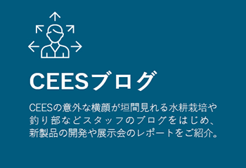 シーズ株式会社 ブログ